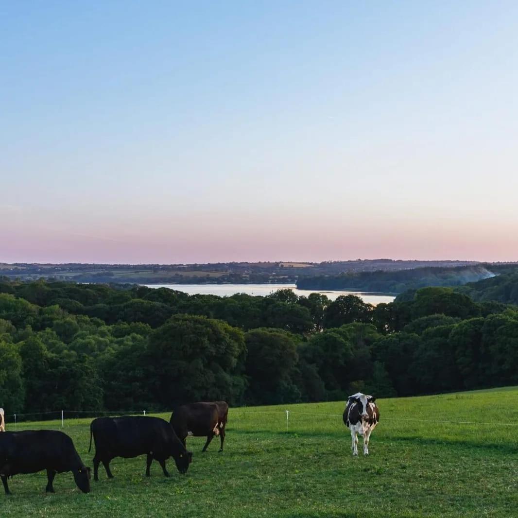Broomhill Barns Minwear エクステリア 写真