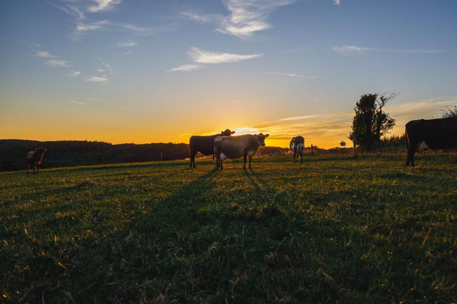 Broomhill Barns Minwear エクステリア 写真